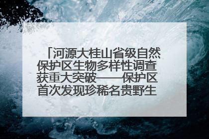 河源大桂山省级自然保护区生物多样性调查获重大突破——保护区首次发现珍稀名贵野生干巴菌与钝尾两头蛇