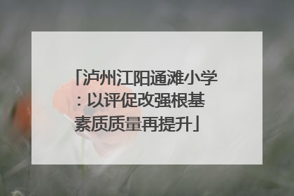 泸州江阳通滩小学：以评促改强根基 素质质量再提升