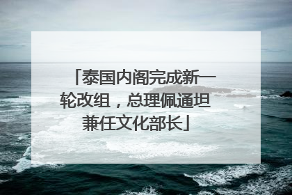 泰国内阁完成新一轮改组，总理佩通坦兼任文化部长