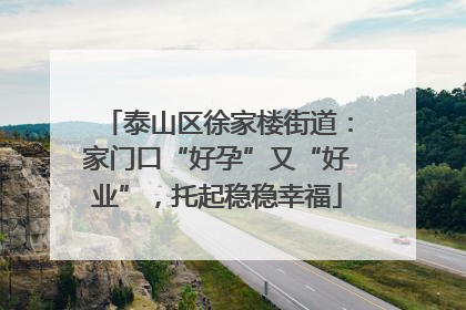 泰山区徐家楼街道：家门口“好孕”又“好业”，托起稳稳幸福