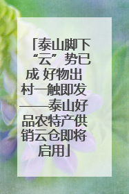 泰山脚下“云”势已成 好物出村一触即发——泰山好品农特产供销云仓即将启用