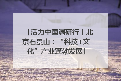 活力中国调研行丨北京石景山：“科技+文化”产业蓬勃发展