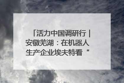 活力中国调研行｜安徽芜湖：在机器人生产企业埃夫特看“中国智造”