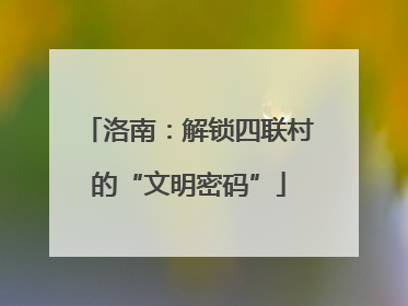 洛南：解锁四联村的“文明密码”