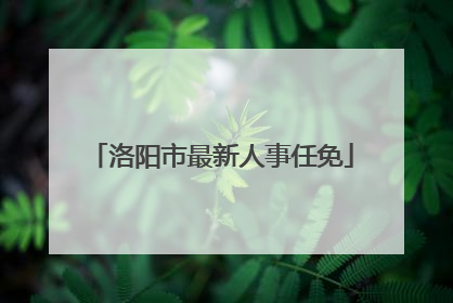 洛阳市最新人事任免