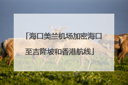 海口美兰机场加密海口至吉隆坡和香港航线