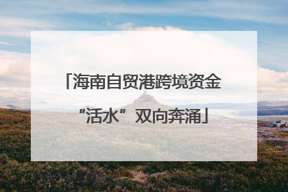 海南自贸港跨境资金“活水”双向奔涌