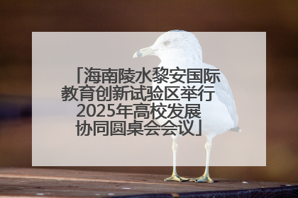 海南陵水黎安国际教育创新试验区举行2025年高校发展协同圆桌会会议