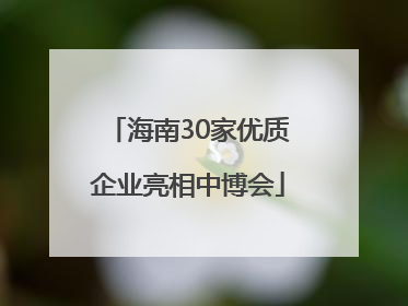 海南30家优质企业亮相中博会