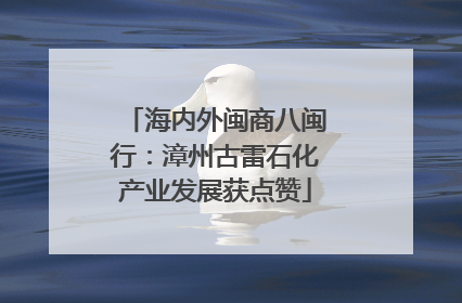 海内外闽商八闽行：漳州古雷石化产业发展获点赞