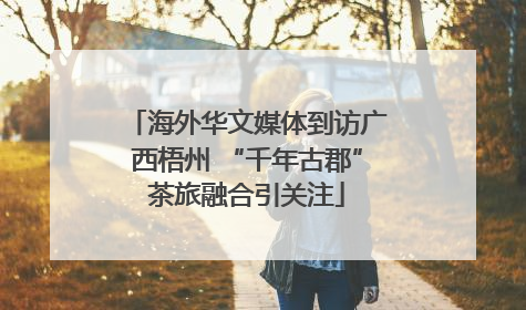 海外华文媒体到访广西梧州 “千年古郡”茶旅融合引关注