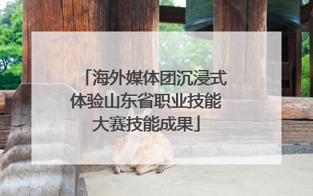 海外媒体团沉浸式体验山东省职业技能大赛技能成果
