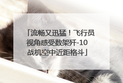 流畅又迅猛！飞行员视角感受数架歼-10战机空中近距格斗