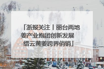 浙报关注丨丽台两地姜产业抱团创新发展 缙云黄姜跨界俏销