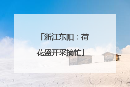 浙江东阳：荷花盛开采摘忙