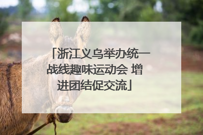 浙江义乌举办统一战线趣味运动会 增进团结促交流