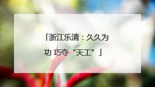 浙江乐清：久久为功 巧夺“天工”