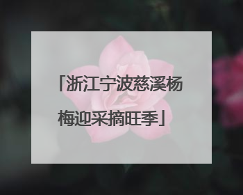 浙江宁波慈溪杨梅迎采摘旺季