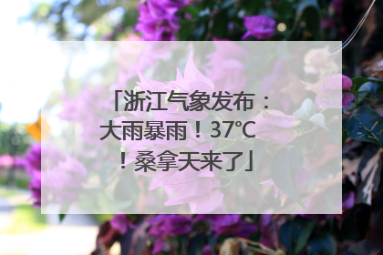 浙江气象发布：大雨暴雨！37℃！桑拿天来了