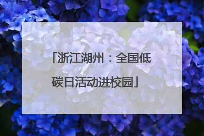 浙江湖州：全国低碳日活动进校园