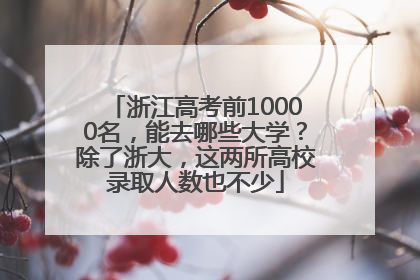 浙江高考前10000名，能去哪些大学？除了浙大，这两所高校录取人数也不少