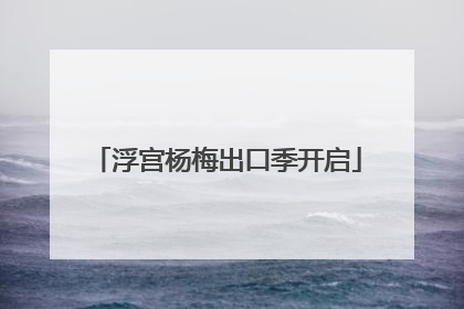 浮宫杨梅出口季开启