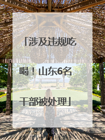 涉及违规吃喝！山东6名干部被处理