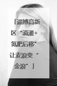 淄博高新区“滴灌+氮肥后移”让麦浪变“金浪”