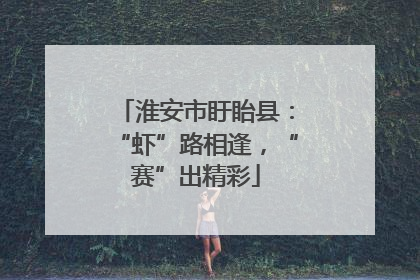 淮安市盱眙县：“虾”路相逢，“赛”出精彩