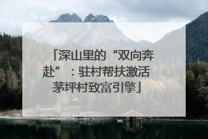 深山里的“双向奔赴”：驻村帮扶激活茅坪村致富引擎