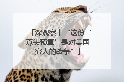 深观察丨“这份‘寡头预算’是对美国穷人的战争”