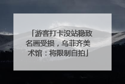 游客打卡没站稳致名画受损，乌菲齐美术馆：将限制自拍
