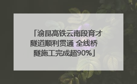 渝昆高铁云南段育才隧道顺利贯通 全线桥隧施工完成超90%
