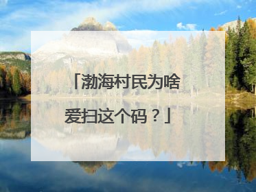 渤海村民为啥爱扫这个码？