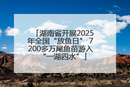 湖南省开展2025年全国“放鱼日” 7200多万尾鱼苗游入“一湖四水”