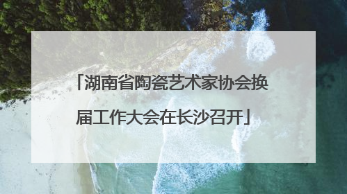 湖南省陶瓷艺术家协会换届工作大会在长沙召开
