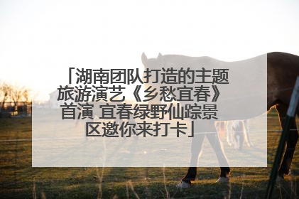 湖南团队打造的主题旅游演艺《乡愁宜春》首演 宜春绿野仙踪景区邀你来打卡