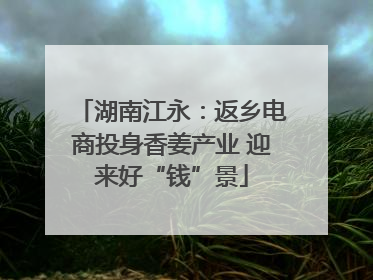 湖南江永：返乡电商投身香姜产业 迎来好“钱”景