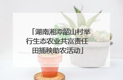 湖南湘潭韶山村举行生态农业共富责任田插秧助农活动