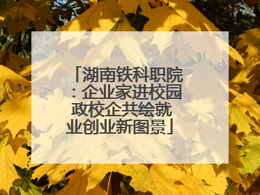 湖南铁科职院：企业家进校园 政校企共绘就业创业新图景