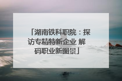 湖南铁科职院：探访专精特新企业 解码职业新图景