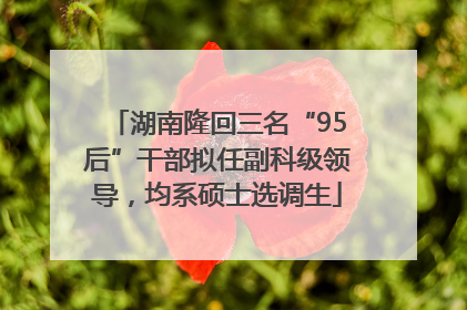湖南隆回三名“95后”干部拟任副科级领导，均系硕士选调生