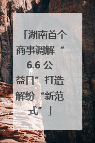 湖南首个商事调解“6.6 公益日”打造解纷“新范式”