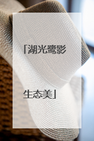 湖光鹭影生态美