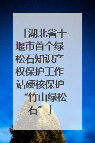 湖北省十堰市首个绿松石知识产权保护工作站硬核保护“竹山绿松石”