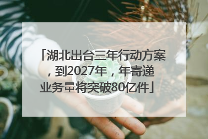 湖北出台三年行动方案，到2027年，年寄递业务量将突破80亿件