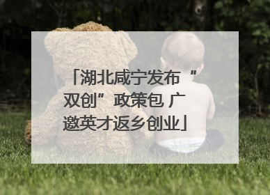 湖北咸宁发布“双创”政策包 广邀英才返乡创业