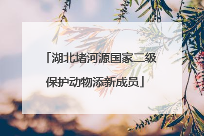 湖北堵河源国家二级保护动物添新成员