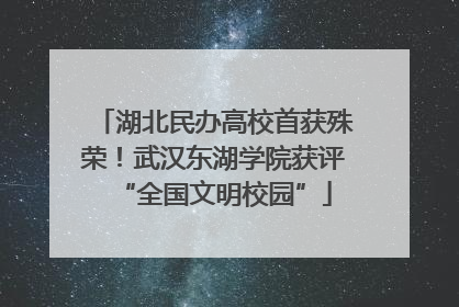 湖北民办高校首获殊荣！武汉东湖学院获评“全国文明校园”