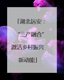 湖北远安：“三产融合”激活乡村振兴新动能